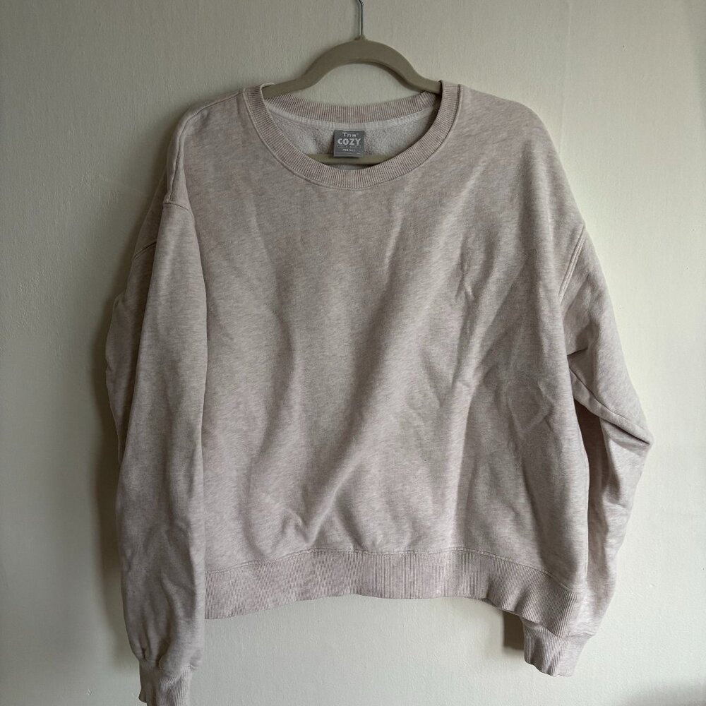 TNA Aritzia Oatmeal Heathered Sweatshirt